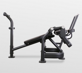 Пресс-скамья BRONZE GYM PL-1720