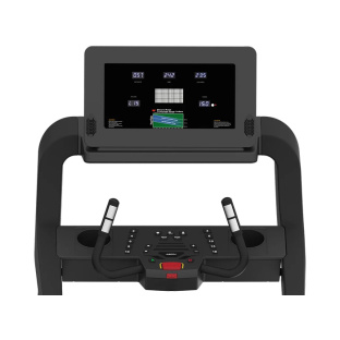 Беговая дорожка AEON FITNESS GT-800E6