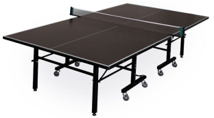 Теннисный стол Weekend "Master Pro Outdoor" (274 х 152,5 х 76 см, коричневый) с сеткой