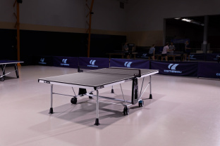 Теннисный стол Cornilleau 300 Indoor Grey 2023