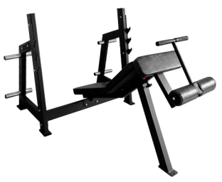 Скамья для жима под углом вниз BRONZE GYM PARTNER AL-306